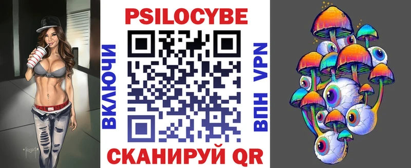 Купить где  Лагань  Псилоцибиновые грибы Cubensis 