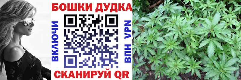 Купить где  Лагань  Шишки марихуана ГИДРОПОН 